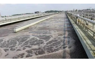 【重要】水中溶解氧越高，處理效果越好么？