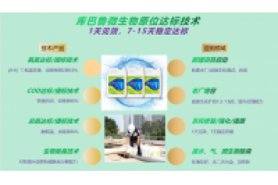 春節(jié)復(fù)工，生化系統(tǒng)快速修復(fù)，確保污水達(dá)標(biāo)排放