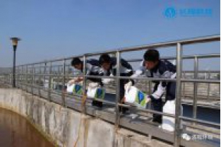 碳氮比失調(diào)，總氮超標(biāo)怎么辦