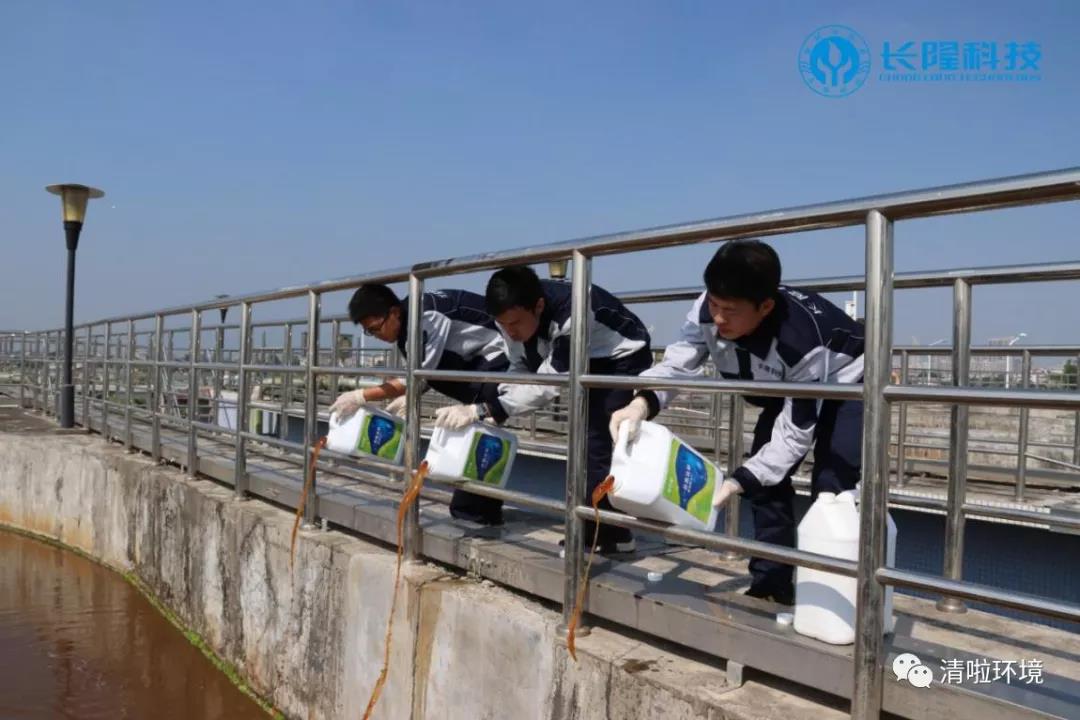 碳氮比失調，總氮超標怎么辦