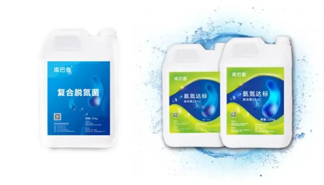 庫(kù)巴魯脫氮菌